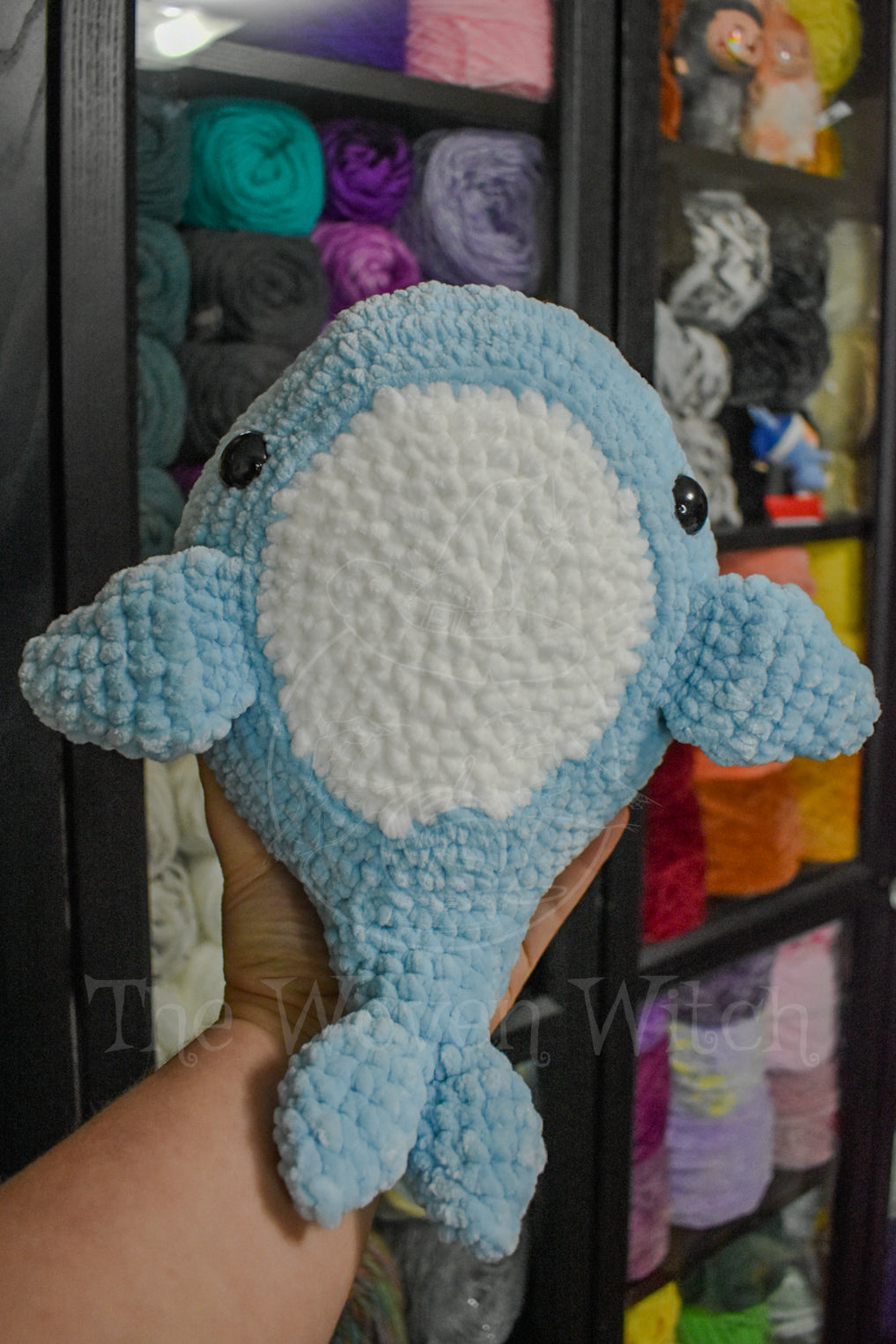 Sad Dolphin