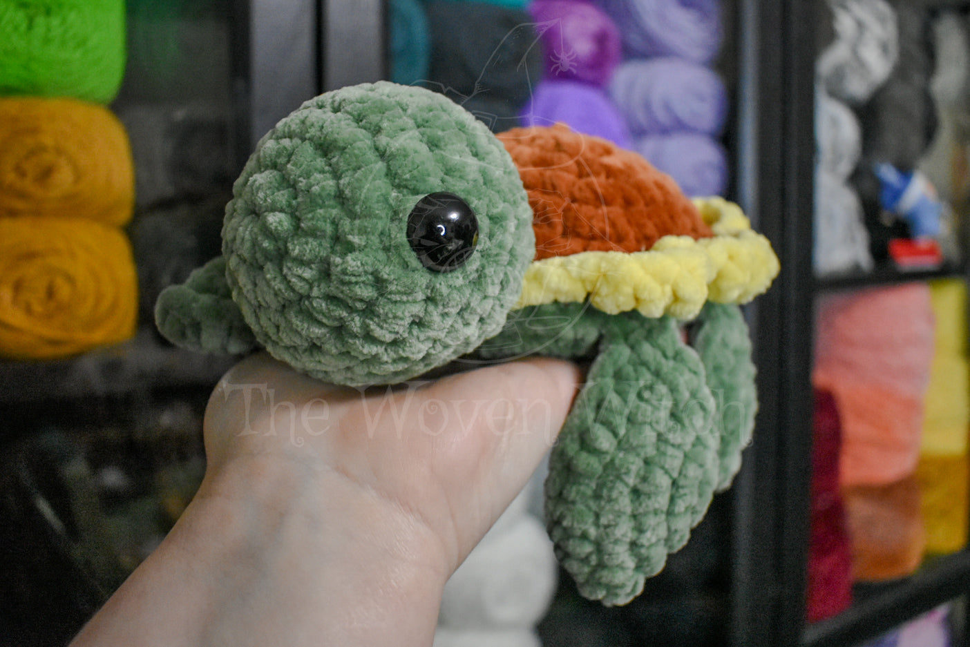 Sunflower Turtle