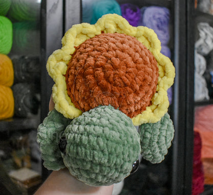 Sunflower Turtle