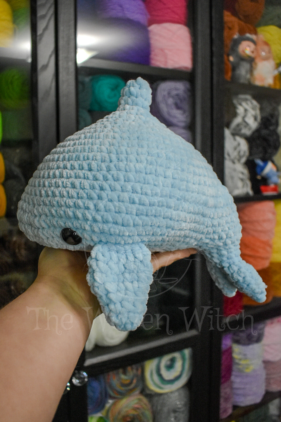 Sad Dolphin