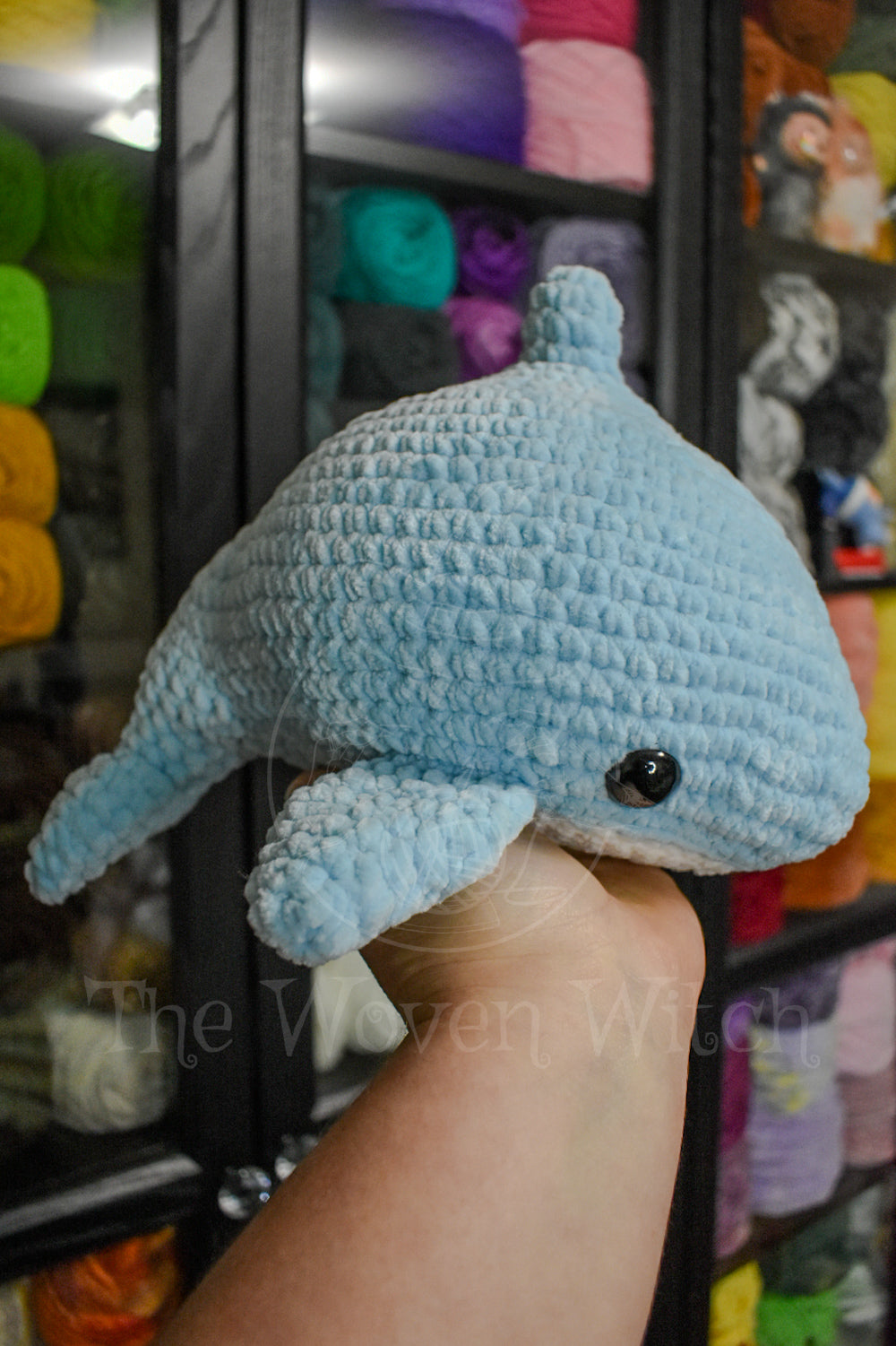 Sad Dolphin